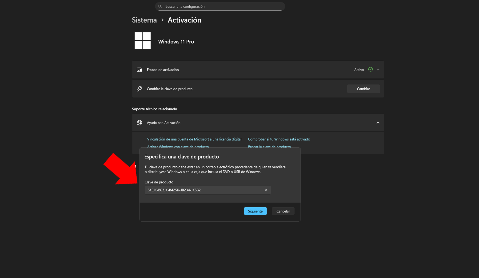 Paso 4: Escribir la licencia de 25 caracteres
